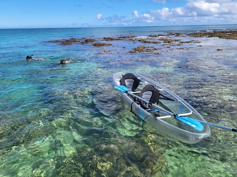 Glass Bottom Kayak – Guaranteed to see Turtles!