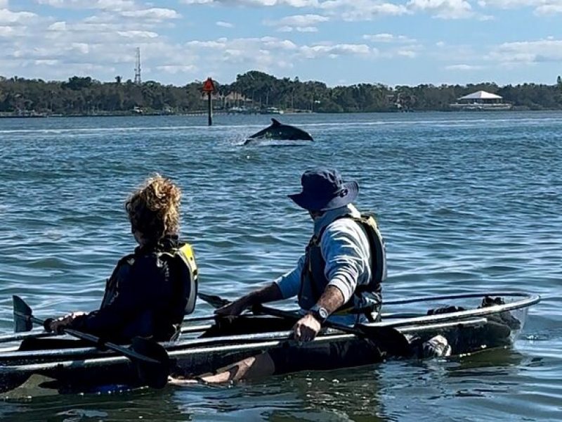 Sarasota Clear Kayak Tour