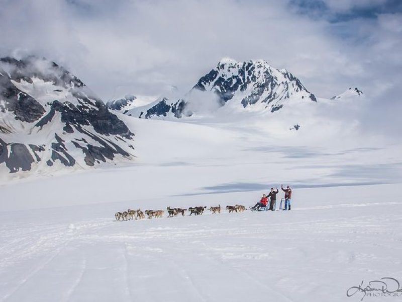 Helicopter and Glacier Dog Sledding Tour from Seward