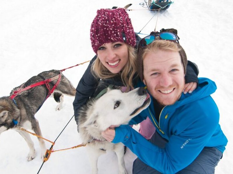 1.5 Hr – Winter Dog Sledding in Knik, Alaska