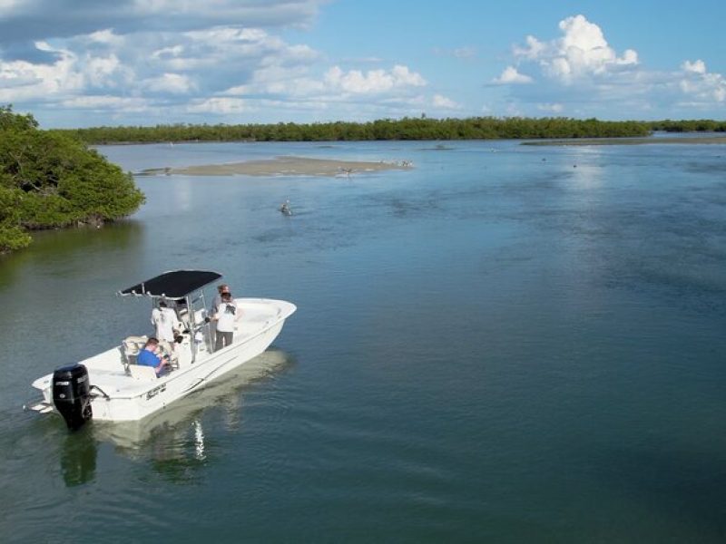 Private 10,000 Islands Eco Tour