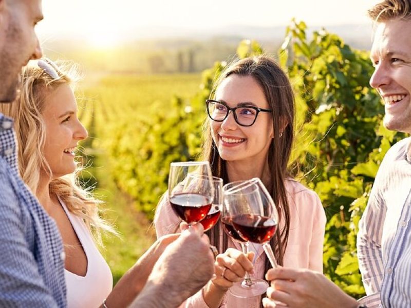 Napa and Sonoma Full-Day Wine Tour from San Francisco