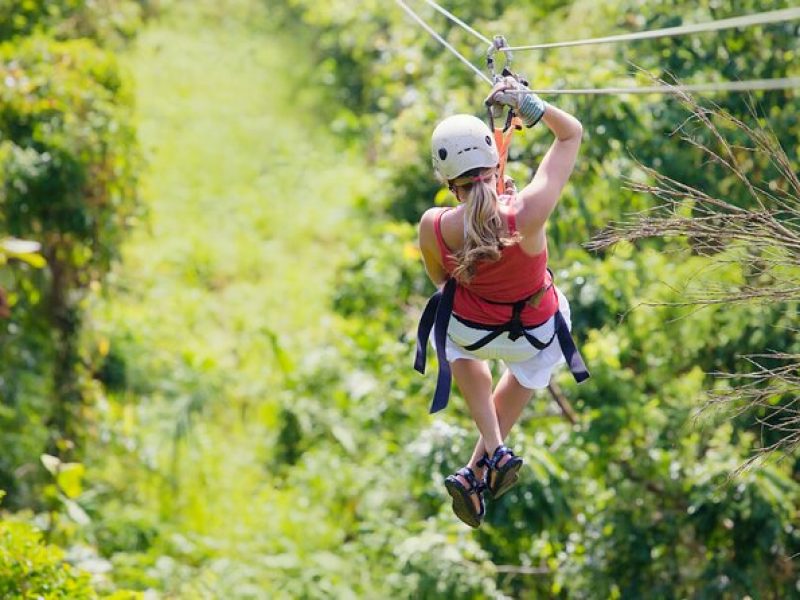 Private Tour Big Island Zipline over KoleKole Falls