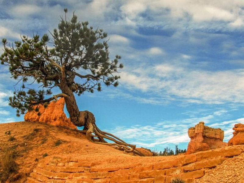 Private Tour Colorado Plateau from Sedona