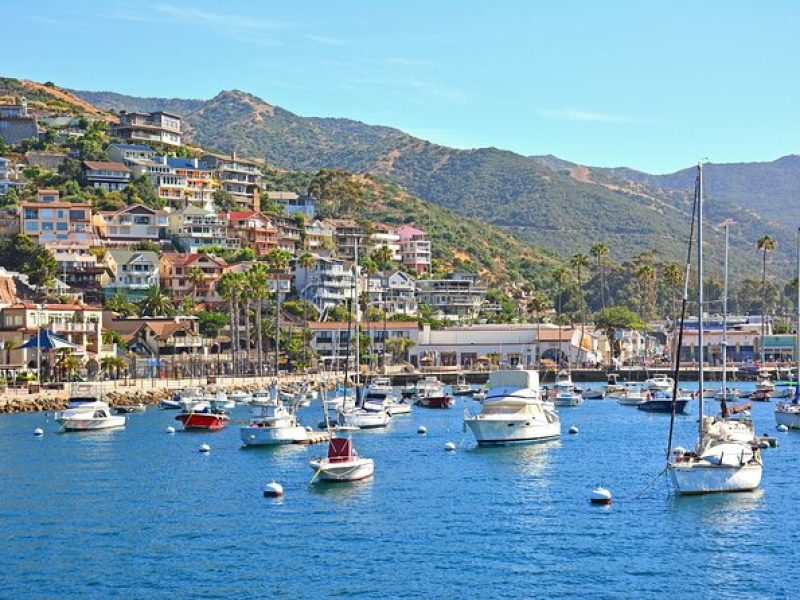 Private Tour of Avalon from Catalina Island