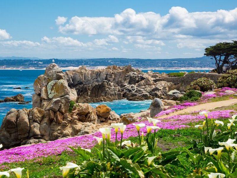 Private Tour Big Sur McWay Falls California Coast