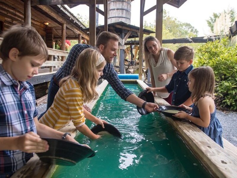 East Alabama Family Fun Multi-Attraction Pass