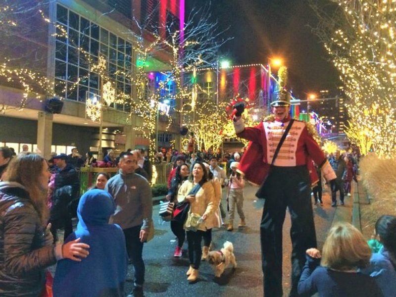 Christmas Lights and Snowflake Lane photo tour