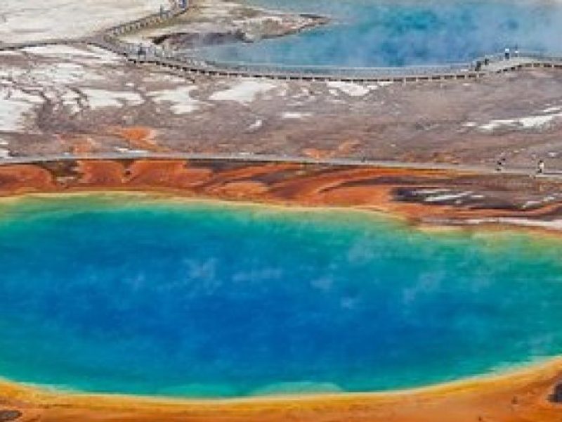 Yellowstone Lower Loop Guided Tour from Cody, Wyoming