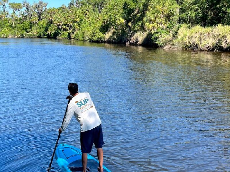 2 Hour Guided Stand Up Paddle Board Tour along Upper Manatee River