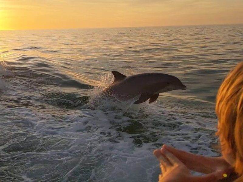 2 Hour Private Dolphin and Sightseeing Tour in Shell Island