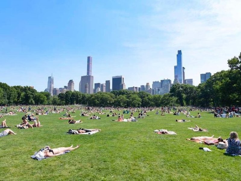 Central Park Guided Walking Tour in French