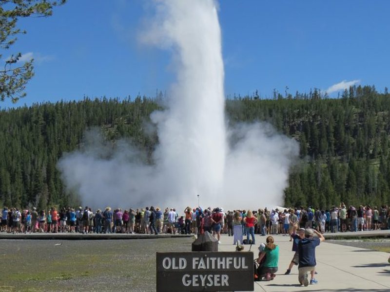 Yellowstone National Park – PRIVATE Full-Day Lower Loop Tour from Jackson Hole