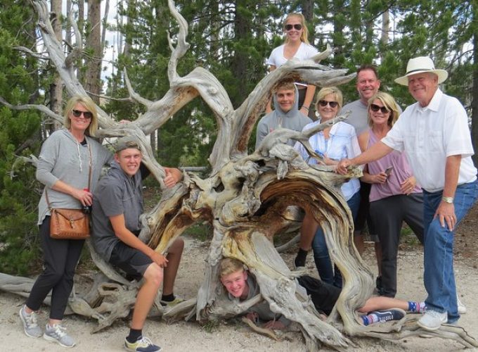 Yellowstone National Park – PRIVATE Full-Day Lower Loop Tour from W. Yellowstone