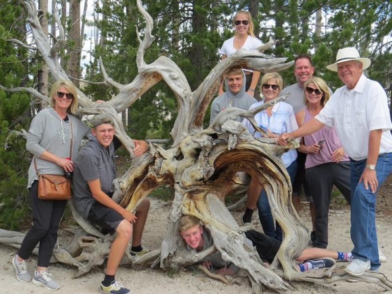 Yellowstone National Park – PRIVATE Full-Day Lower Loop Tour from W. Yellowstone