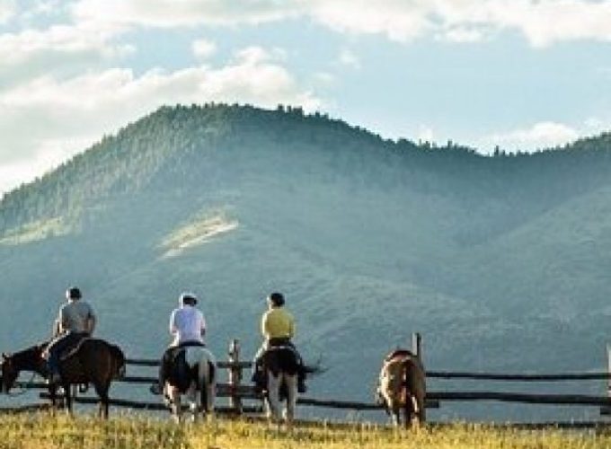 1 Hour Horseback Ride in Glenwood Canyon