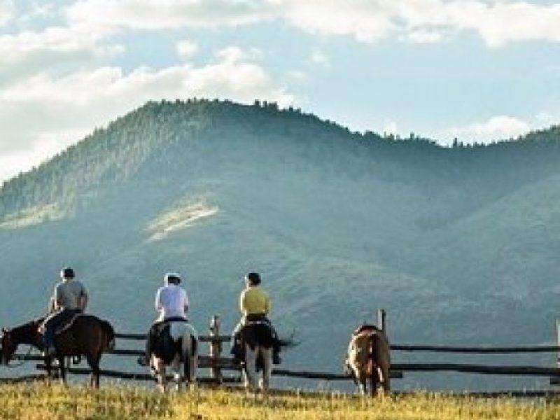 1 Hour Horseback Ride in Glenwood Canyon