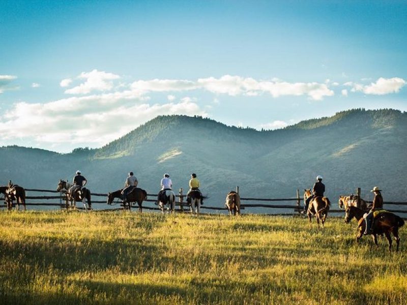 2 Hour Horseback Ride