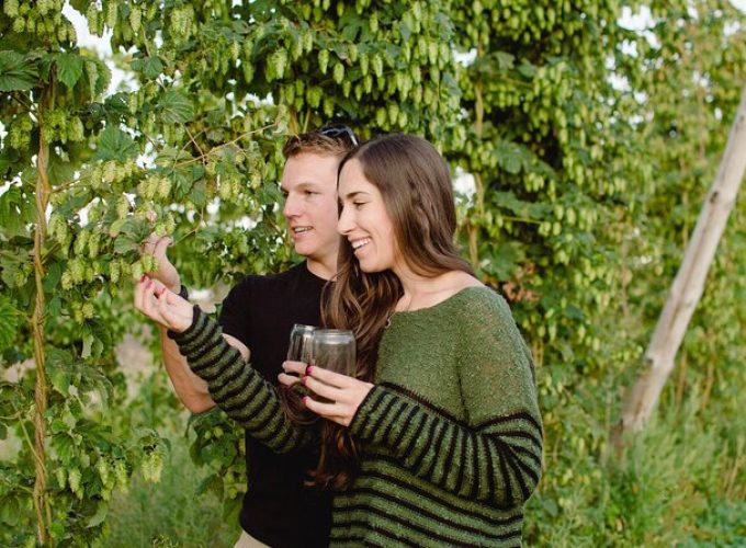 Yakima Valley Hop Farm & Beer Sensory Tour