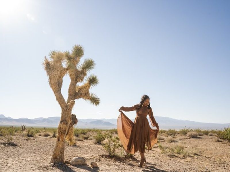 Desert Photoshoot Tour in Las Vegas