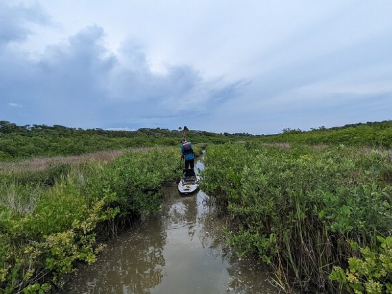 Canaveral National Seashore Wildlife Excursion