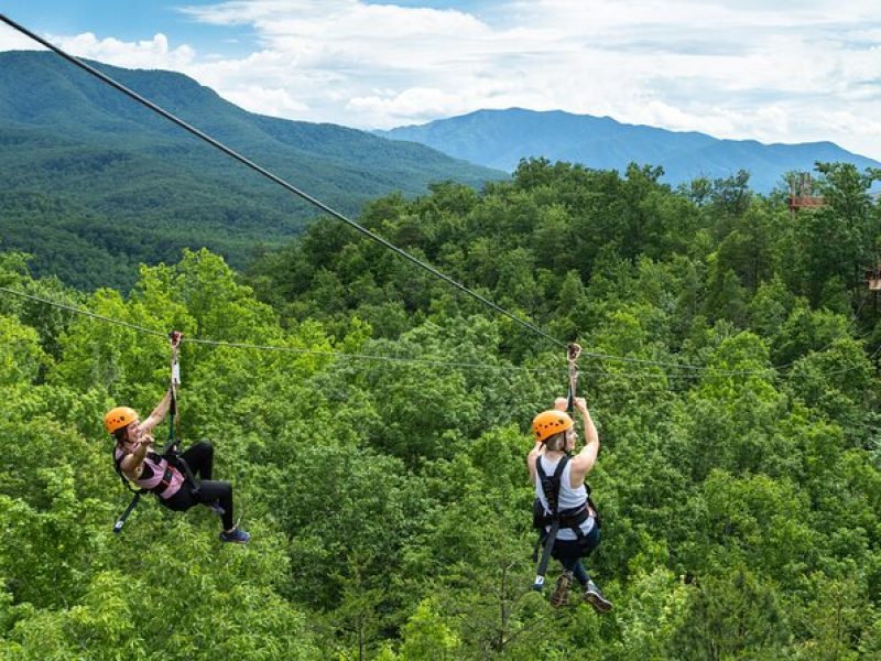 Mountaintop Zipline 2-Hours Activity