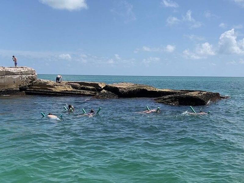 Snorkeling, Shelling in St. Petersburg, Fl. 4 Hours