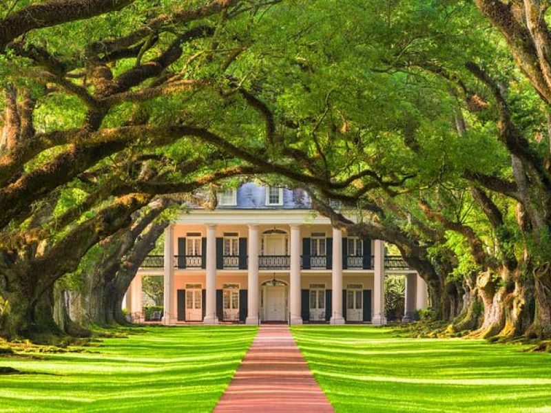 Small Airboat and Oak Alley Plantation Tour from New Orleans