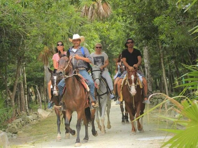 Horse Riding Activity in Miami