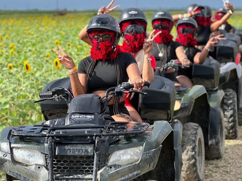 Miami Off-Road ATV Adventure, Farm Fun and more