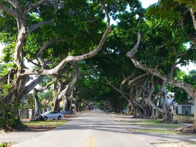 Tour contrastes de Miami