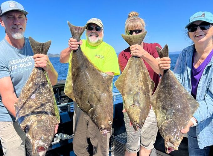 Ketchikan Halibut Fishing Shore Excursion 4HR