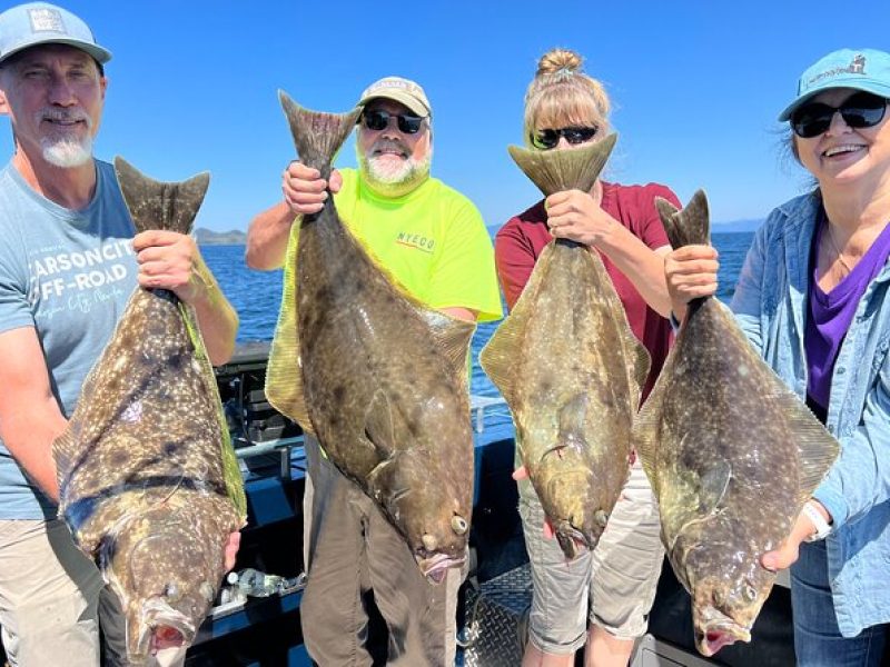 Ketchikan Halibut Fishing Shore Excursion 4HR