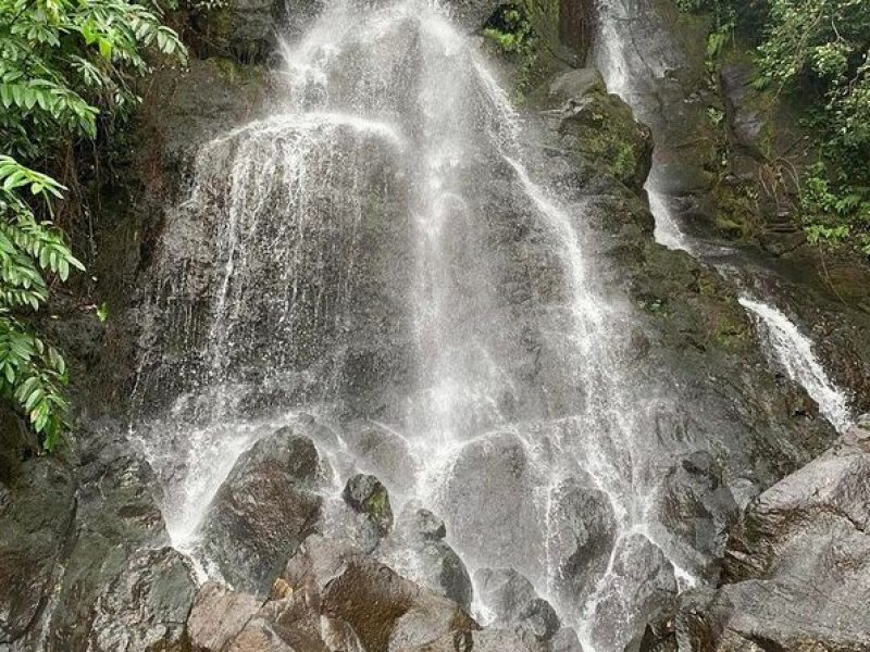 Hawaii's Forest Walking Tour with Waterfall and Swimming Pool