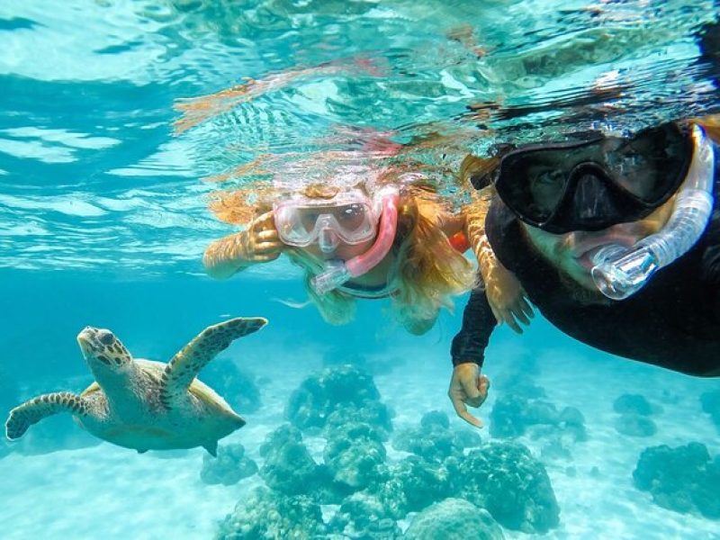 Snorkel with Turtles and Free Videos Hilo