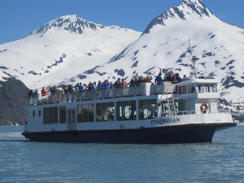 Portage Glacier Cruise and Wildlife Explorer Tour