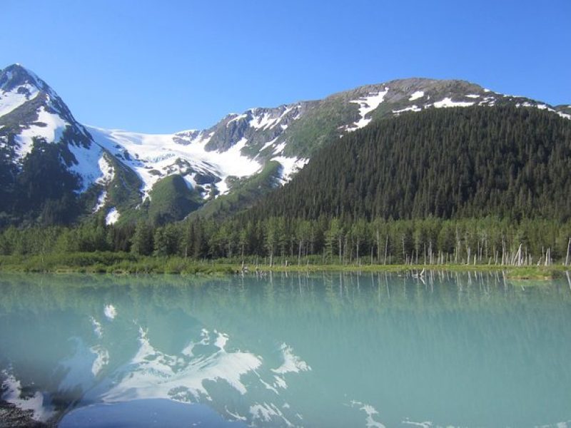 Turnagain Arm Tour: "A Must See Destination"