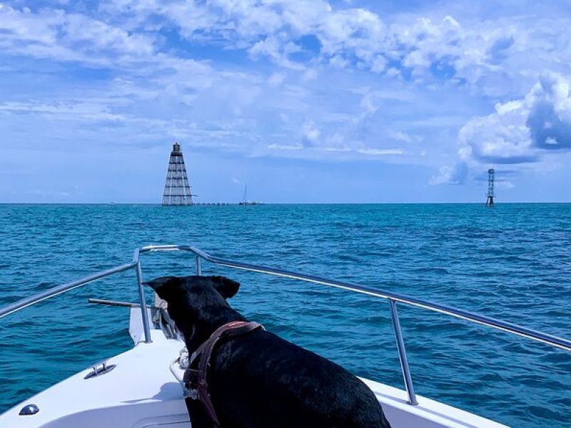 Snorkel the Coral Reef and Explore the Waters of Key West