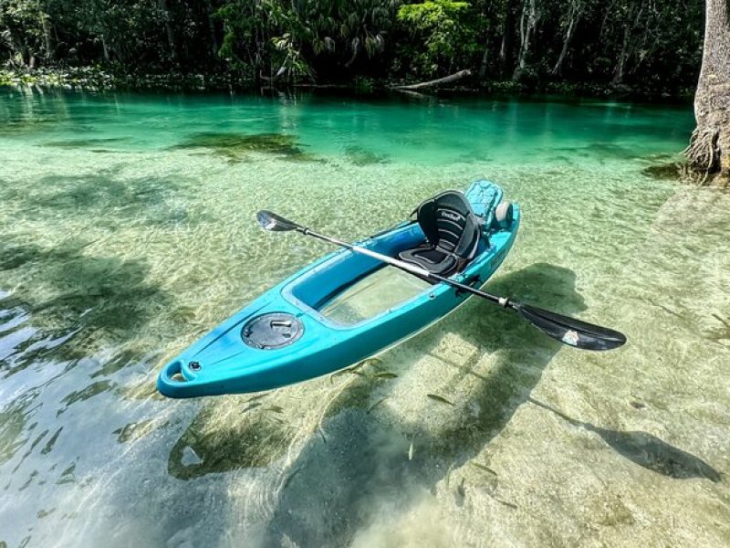 Glass Bottom Kayak Guided Tour; Silver Springs