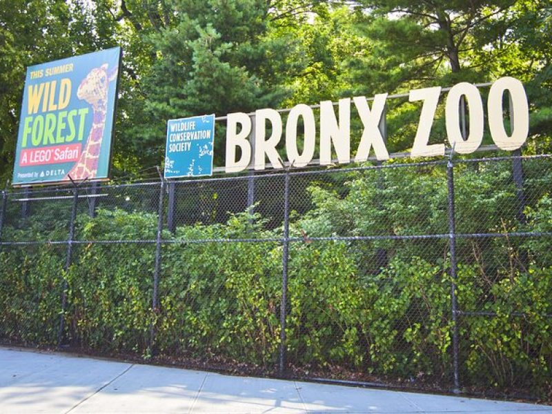 Skip the line Tickets to Bronx Zoo with Private Transfers