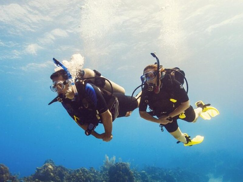 Half Day Scuba Diving Course enjoy Pool and Beach Dive Adventure