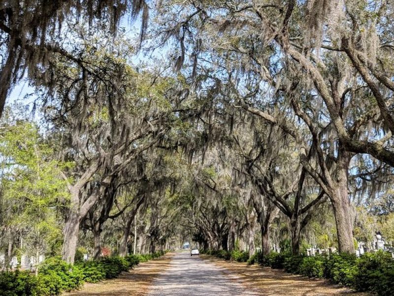 Private Tour of Savannah's Historic/Victorian Districts & Bonaventure Cemetery