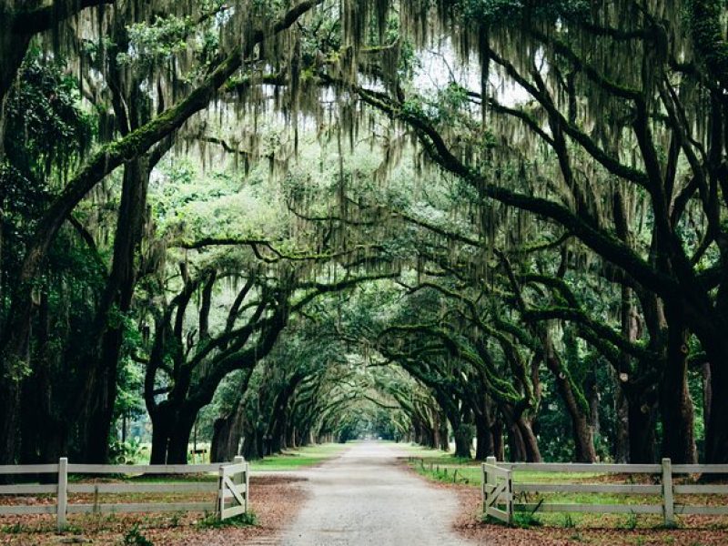 Full Day Private Tour of Savannah Film Locations