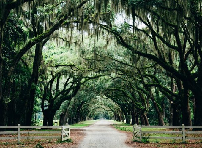 Half-Day Hollywood In The South Film Locations in Savannah