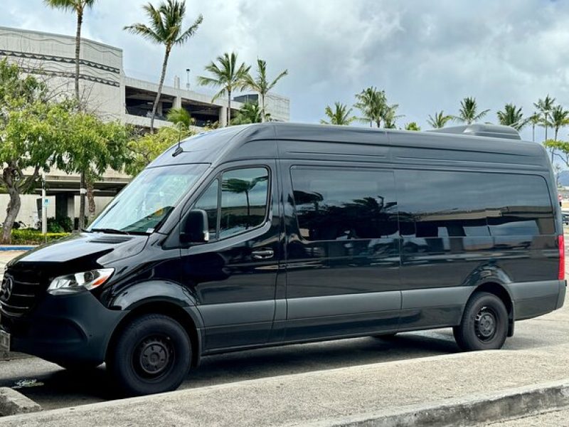 Honolulu Private transfer to Airport/Port/Hotel (1-12 Passengers)