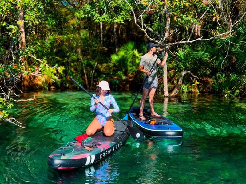 Rainbow Springs Paddle Board Adventure