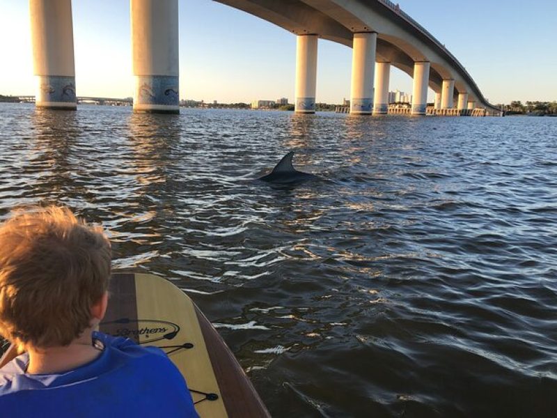 Paddle Board Rental