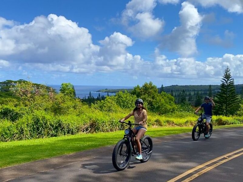 Kaanapali to Kapalua Maui Explorer Electric Bike Rental