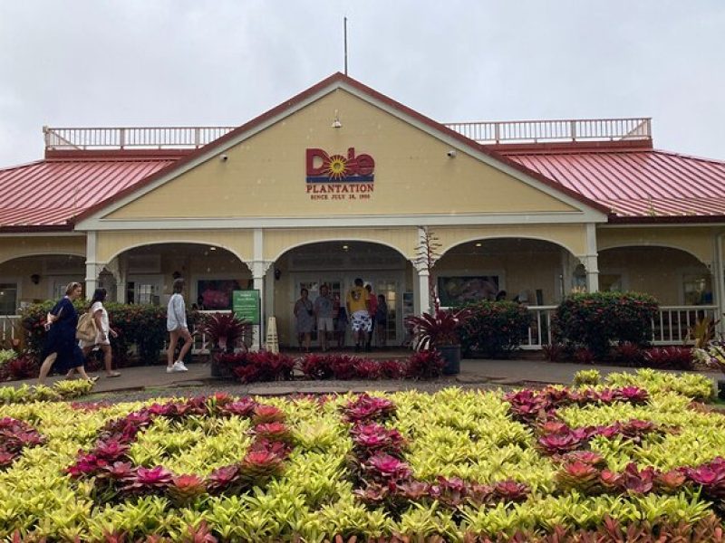 "The Dole Plantation" & "North Shore" Private Limousine VIP Tour!