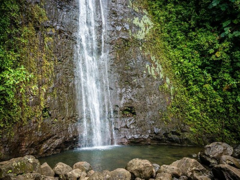 Waikiki Electric Bike Private Tour – Manoa Falls Bike and Hike